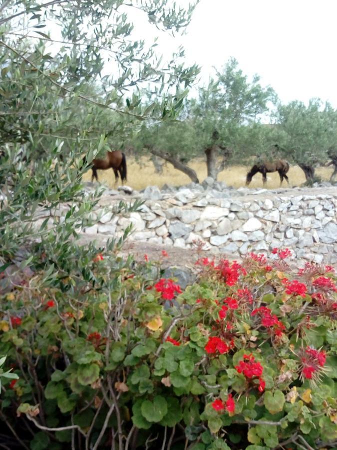 Charouda Stone Tower Apartment Pyrgos Dirou ภายนอก รูปภาพ